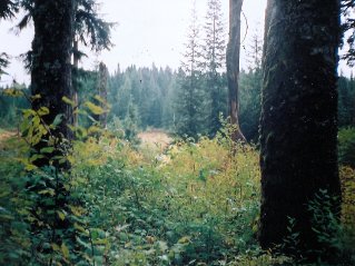 On Burke Ridge, Munro and Dennett Lakes 2003-10.